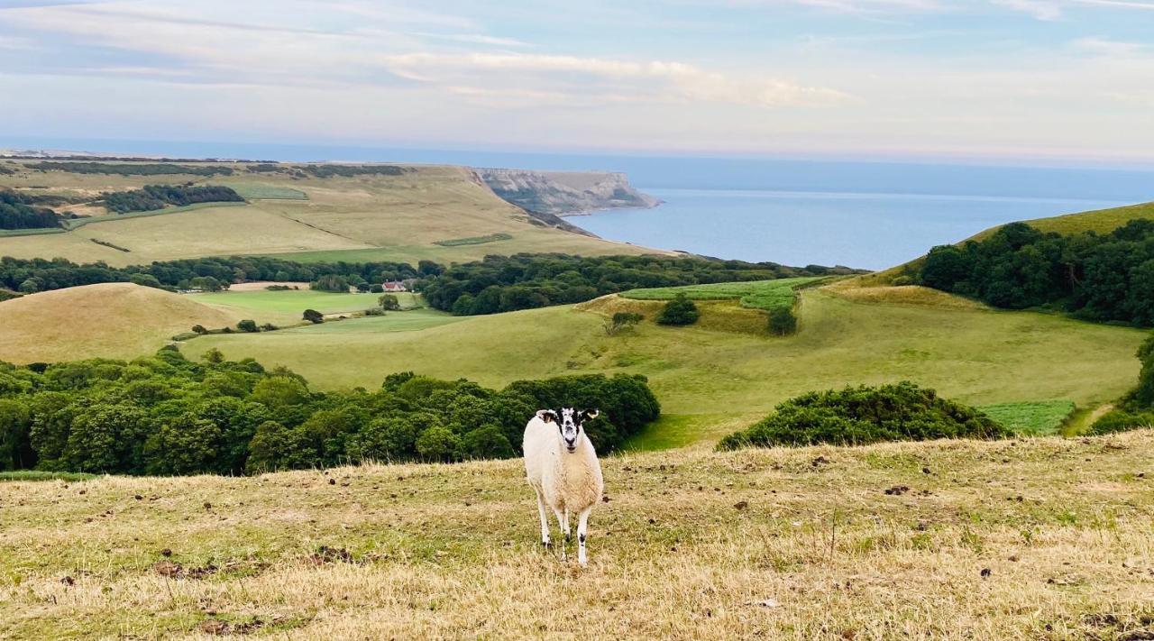 Appartamento The Lookout Swanage Esterno foto